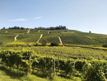 Trekking, Hiking in the lands of Barolo